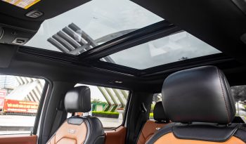 Ford F-150 Limited 2017 full