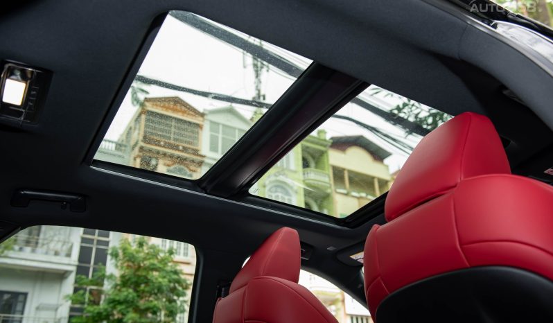 Lexus RX450h F-Sport 2024 full