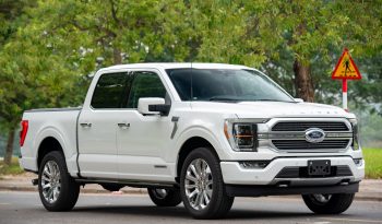 Ford F-150 Limited 2025 full