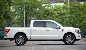 Ford F-150 Limited 2025 full