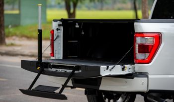 Ford F-150 Limited 2025 full