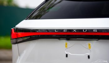 Lexus RX350 Premium 2024 full